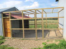 Chicken Cage