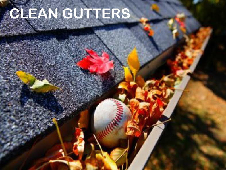 Clean Gutters