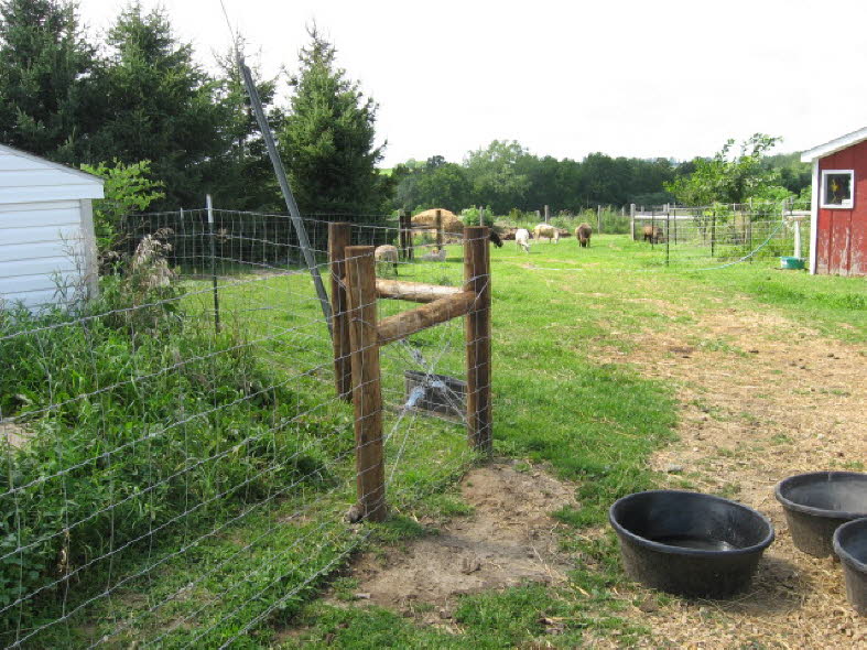 Put Up Fencing