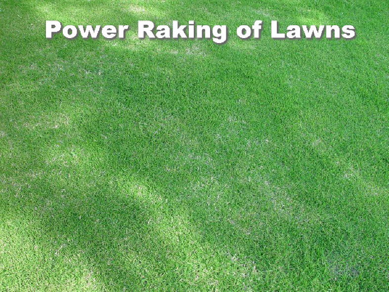 Lawn Power Raking